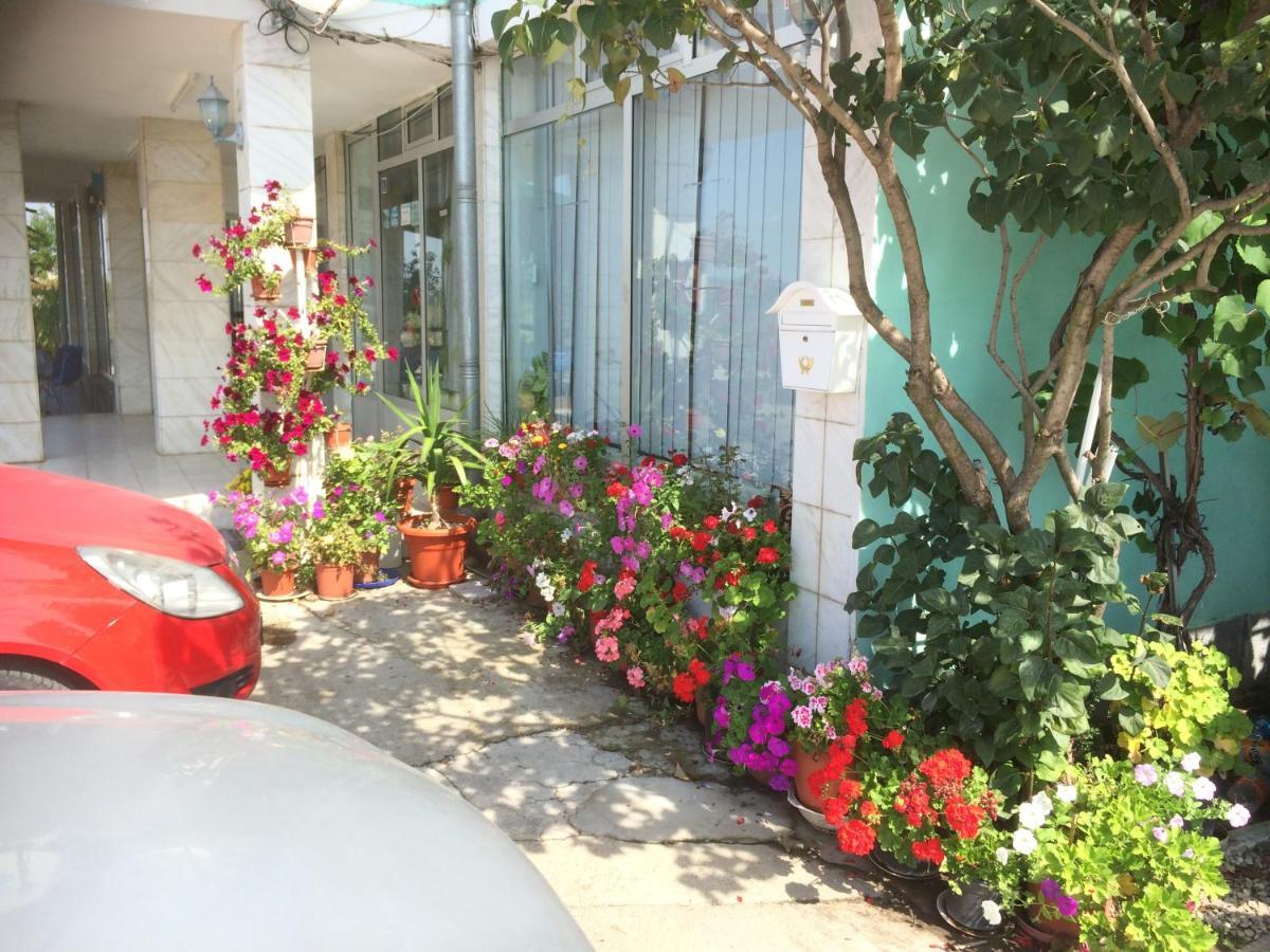 Pensiunea Simina Caransebeş Exteriör bild